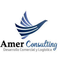 AMER CONSULTING logo, AMER CONSULTING contact details