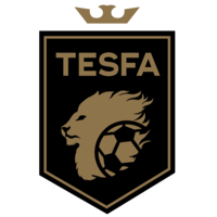 Tesfa Football Academy logo, Tesfa Football Academy contact details