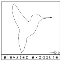 Elevated Exposure logo, Elevated Exposure contact details