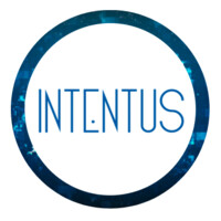 Intentus Consultoria logo, Intentus Consultoria contact details