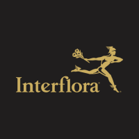 Interflora African Areas logo, Interflora African Areas contact details