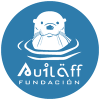 Auiläff logo, Auiläff contact details