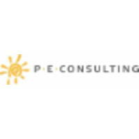 PE Consulting bv logo, PE Consulting bv contact details