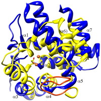 Kazlauskas Research Group logo, Kazlauskas Research Group contact details