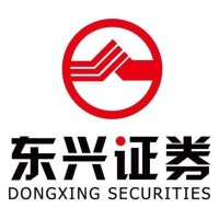 Dongxing Securities Co., Ltd. logo, Dongxing Securities Co., Ltd. contact details