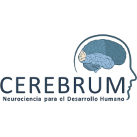 CEREBRUM LATAM ® logo, CEREBRUM LATAM ® contact details