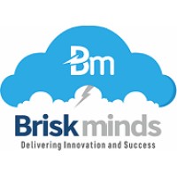 Briskminds Software Solutions logo, Briskminds Software Solutions contact details