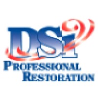 DSi Professional Restoration logo, DSi Professional Restoration contact details