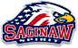 Saginaw Spirit Store logo, Saginaw Spirit Store contact details