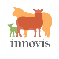 Innovis Breeding Sheep logo, Innovis Breeding Sheep contact details