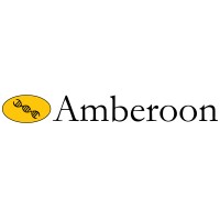 Amberoon Inc logo, Amberoon Inc contact details