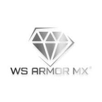 WS ARMOR MX Blindaje especializado. logo, WS ARMOR MX Blindaje especializado. contact details