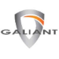 Galiant Business Solutions logo, Galiant Business Solutions contact details