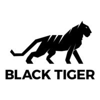 Black Tiger Low Voltage Systems logo, Black Tiger Low Voltage Systems contact details