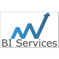 NV BI Services logo, NV BI Services contact details