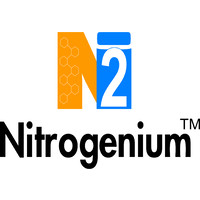 NITROGENIUM INNOVATIONS & FILTERATION INDIA PVT. LTD. logo, NITROGENIUM INNOVATIONS & FILTERATION INDIA PVT. LTD. contact details