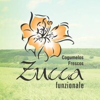 Zucca Alimentos logo, Zucca Alimentos contact details