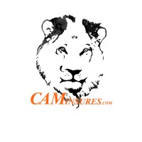 CAMInsures logo, CAMInsures contact details