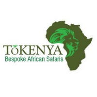 Bespoke African Safaris logo, Bespoke African Safaris contact details