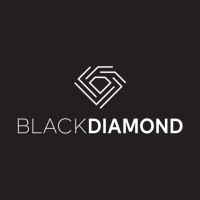 Black Diamond Media Services Pvt. Ltd. logo, Black Diamond Media Services Pvt. Ltd. contact details