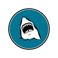 Shark Media logo, Shark Media contact details