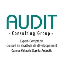 AUDIT CONSULTING GROUP. logo, AUDIT CONSULTING GROUP. contact details