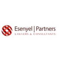 Esenyel Partners logo, Esenyel Partners contact details