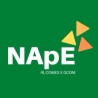 NApE IBMR logo, NApE IBMR contact details