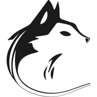 WinterWolf Ltd logo, WinterWolf Ltd contact details