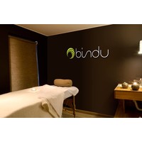 Bindu Spa Vitacura logo, Bindu Spa Vitacura contact details