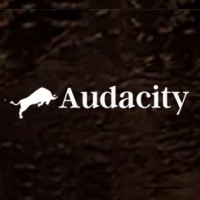 Audacity Investment Bankers logo, Audacity Investment Bankers contact details