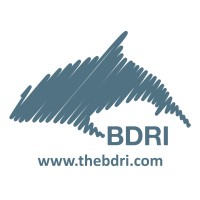 BOTTLENOSE DOLPHIN RESEARCH INSTITUTE - BDRI logo, BOTTLENOSE DOLPHIN RESEARCH INSTITUTE - BDRI contact details