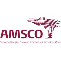 AMSCO HR Advisory Services (Southern Africa) logo, AMSCO HR Advisory Services (Southern Africa) contact details