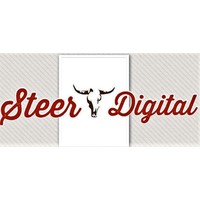 Steer Digital USA logo, Steer Digital USA contact details