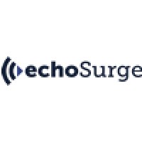 Echosurge Marketing logo, Echosurge Marketing contact details