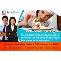 TeamOne Software Technologies logo, TeamOne Software Technologies contact details