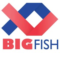 Big Fish Ventures logo, Big Fish Ventures contact details