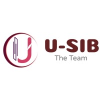 USIB The Team logo, USIB The Team contact details