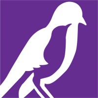 The Mockingbird Society logo, The Mockingbird Society contact details