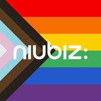 Niubiz logo, Niubiz contact details