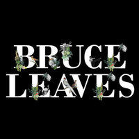 Bruce Leaves logo, Bruce Leaves contact details