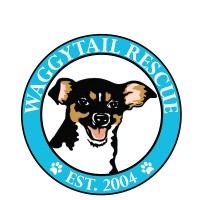 WAGGYTAIL RESCUE INC logo, WAGGYTAIL RESCUE INC contact details