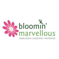 Bloomin Marvellous Landscapes Ltd logo, Bloomin Marvellous Landscapes Ltd contact details