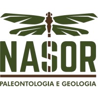 NASOR - Paleontologia e Geologia logo, NASOR - Paleontologia e Geologia contact details