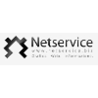 Netservice S.R.L. logo, Netservice S.R.L. contact details