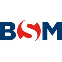 BSM Mexico logo, BSM Mexico contact details