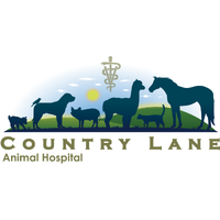 Country Lane Animal Hospital logo, Country Lane Animal Hospital contact details