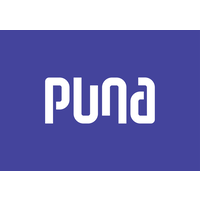 Puna SEO & Content logo, Puna SEO & Content contact details