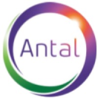 Antal (Henan) Human Resources Service Co., Ltd logo, Antal (Henan) Human Resources Service Co., Ltd contact details