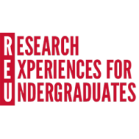 NSF UHCS REU Site logo, NSF UHCS REU Site contact details